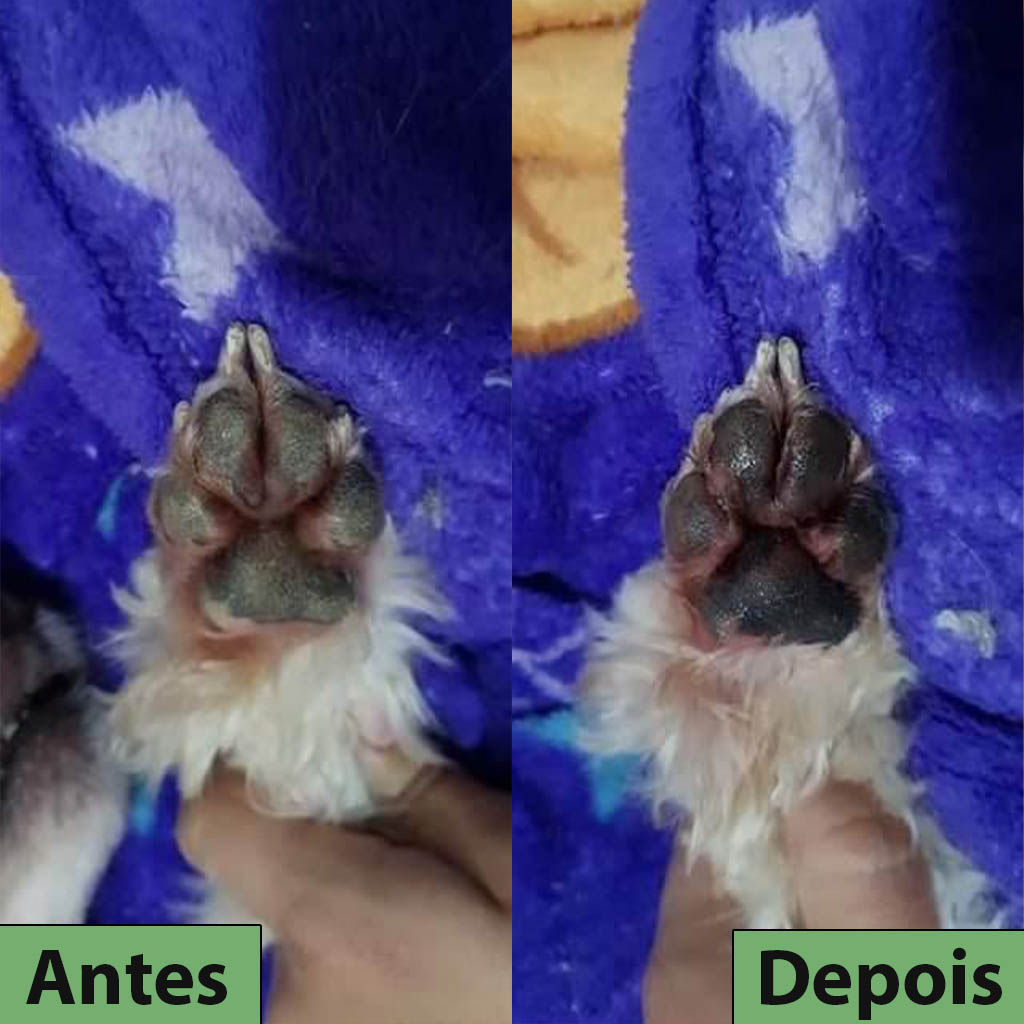 antes e depois 2